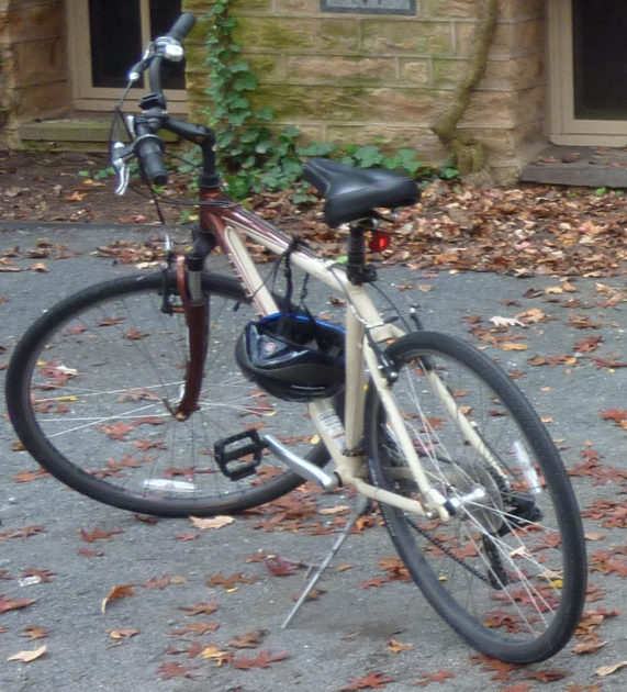 2010 Trek 7100 Brown