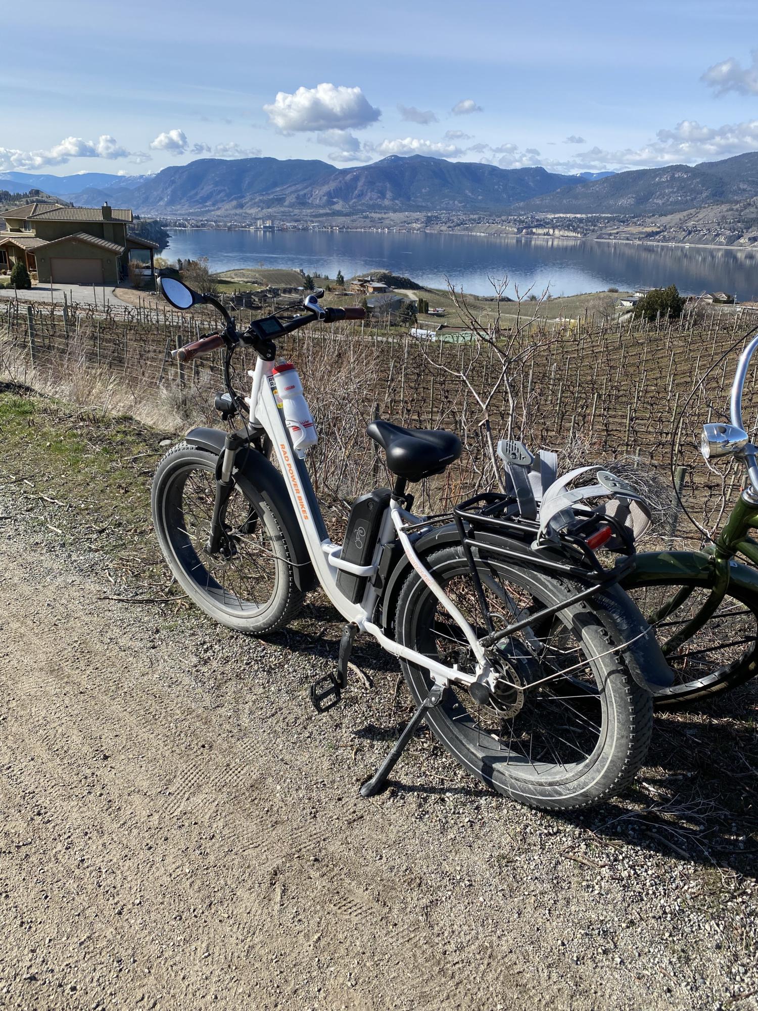 2021 Rad Power Bikes Rad Rover Step Through White