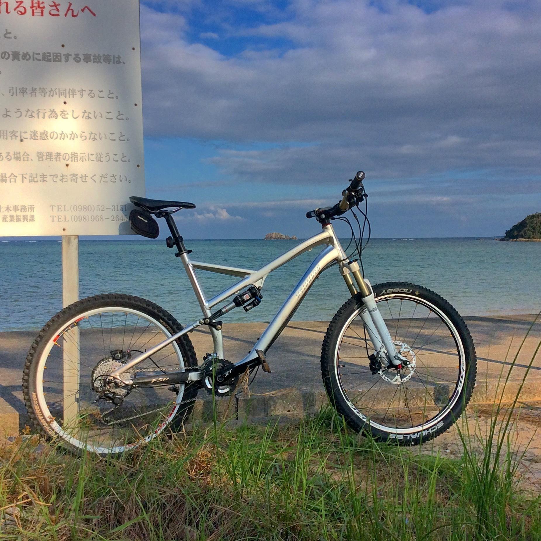 2010 Specialized Stumpjumper FSR Elite Silver or Gray