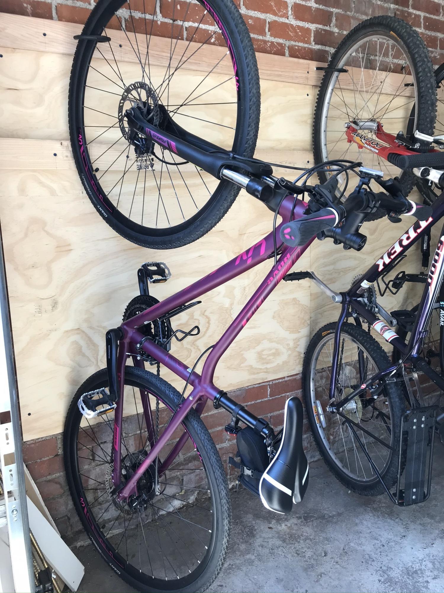 2019 Giant Rove 2 Magenta XS Liv Black