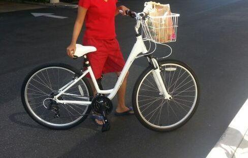 2013 Schwinn VOYAGEUR  White