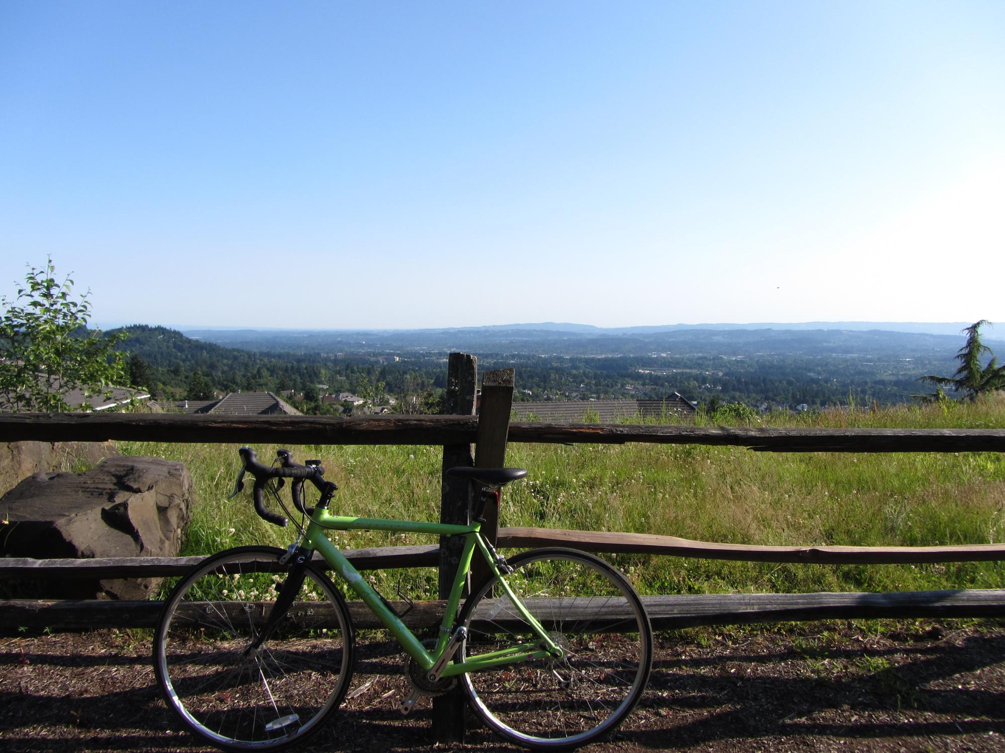 2008 Cannondale Synapse?  Green