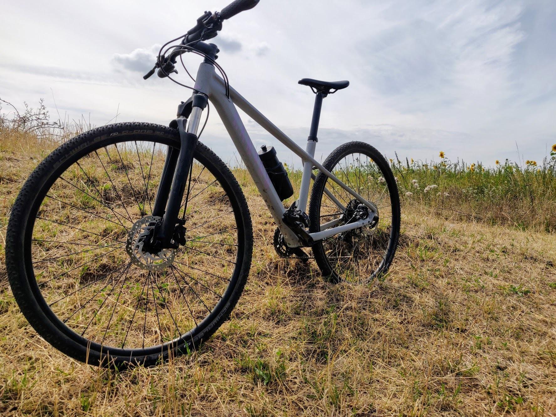 2020 Canyon bicycles Silver, gray or bare metal and Purple