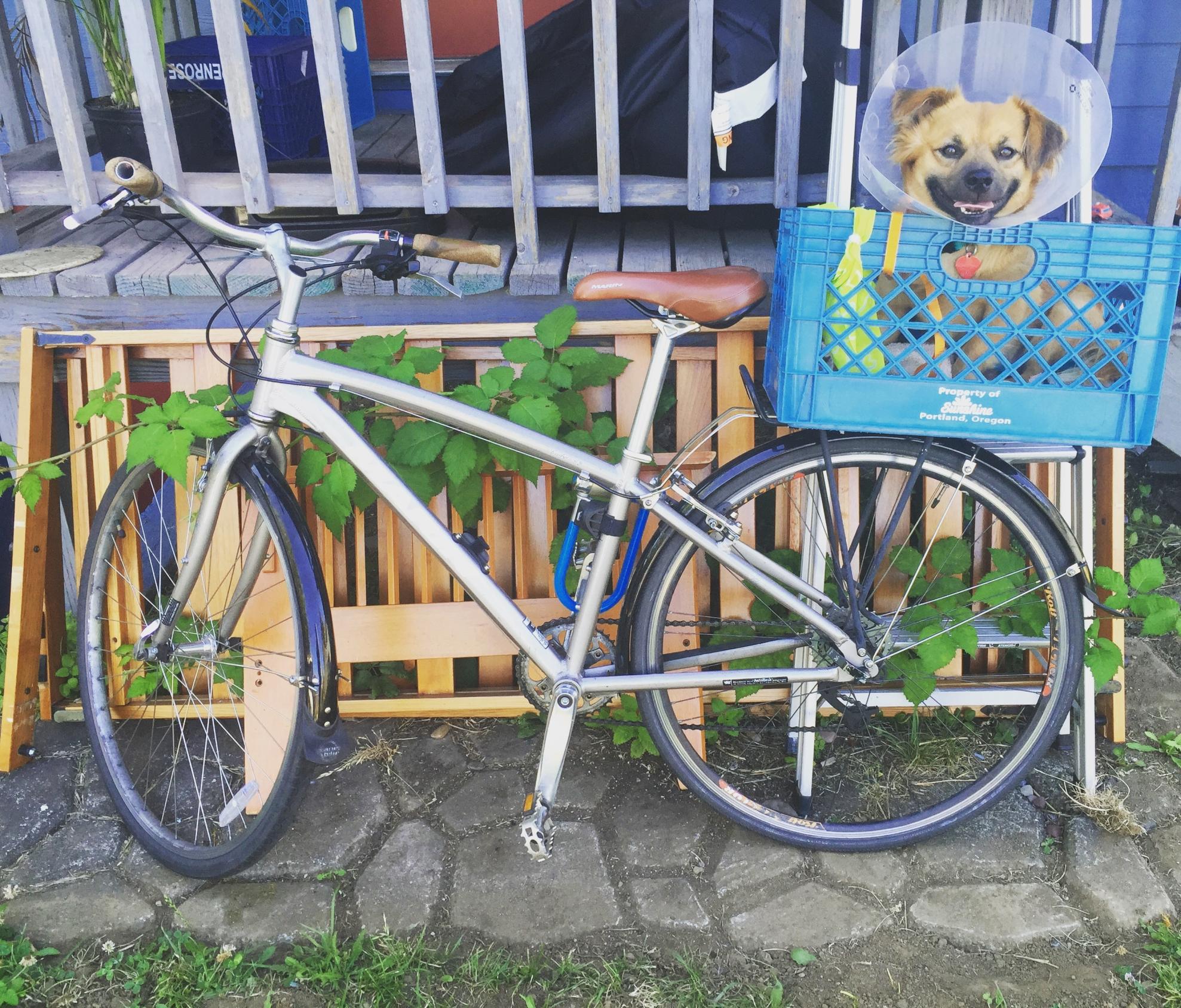 Marin Bikes Silver or Gray
