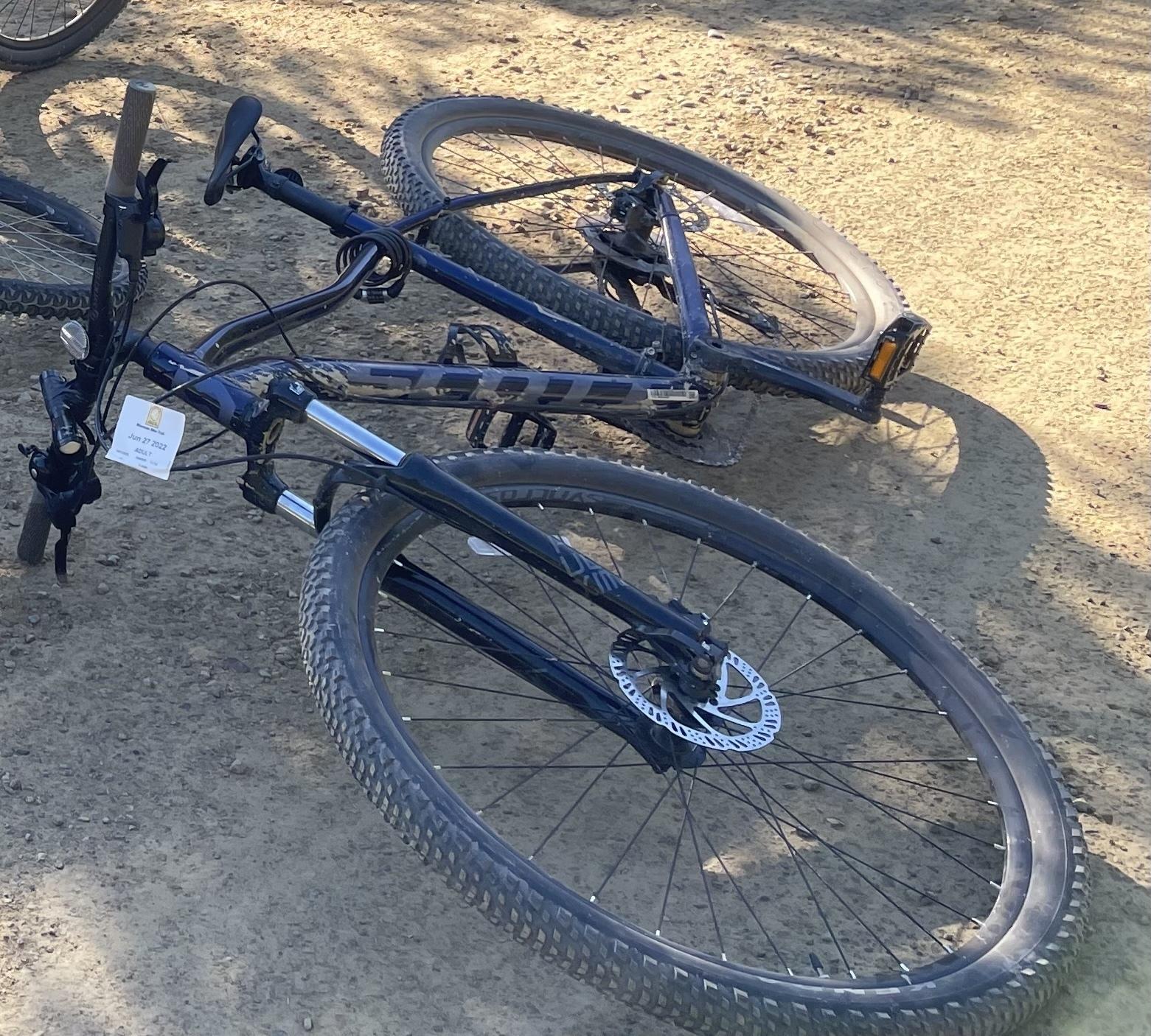 SCOTT Contessa Purple