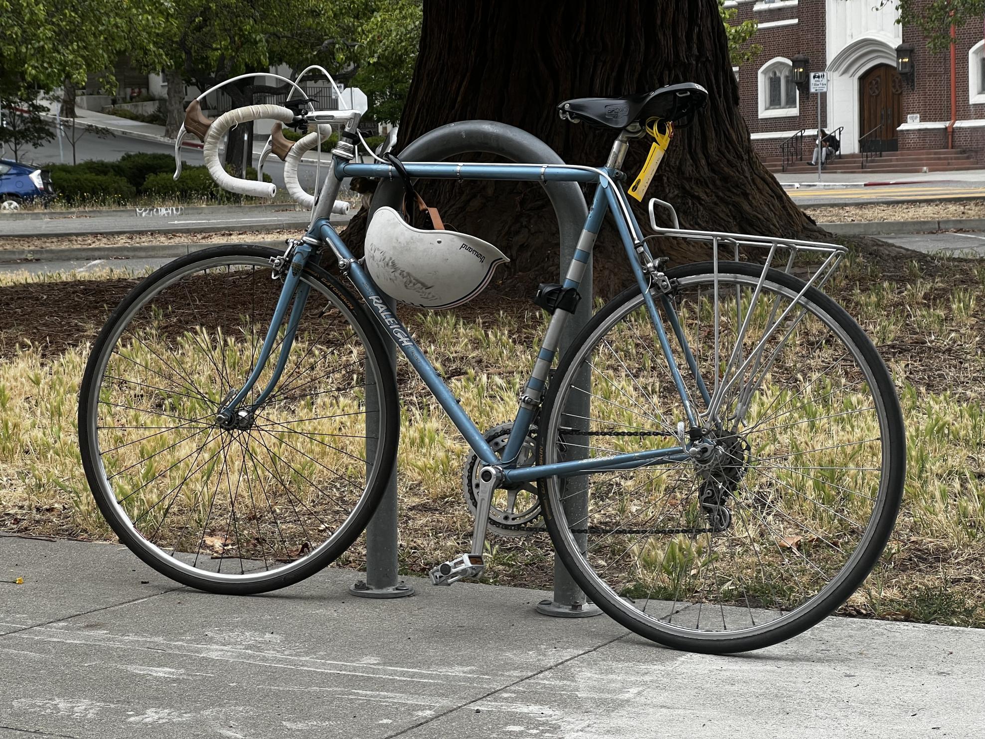 1979 Raleigh Professional Blue