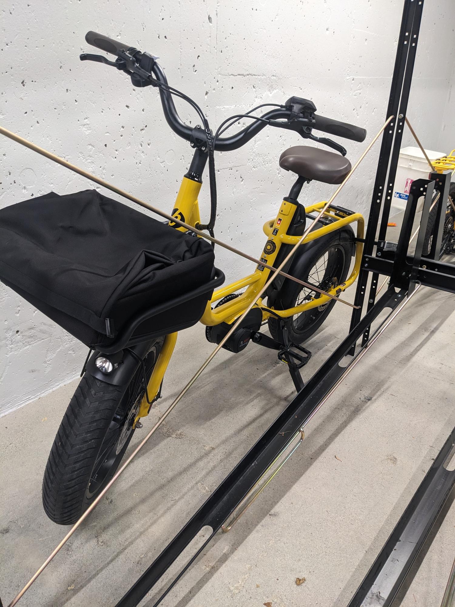 2023 Benno RemiDemi Yellow or Gold