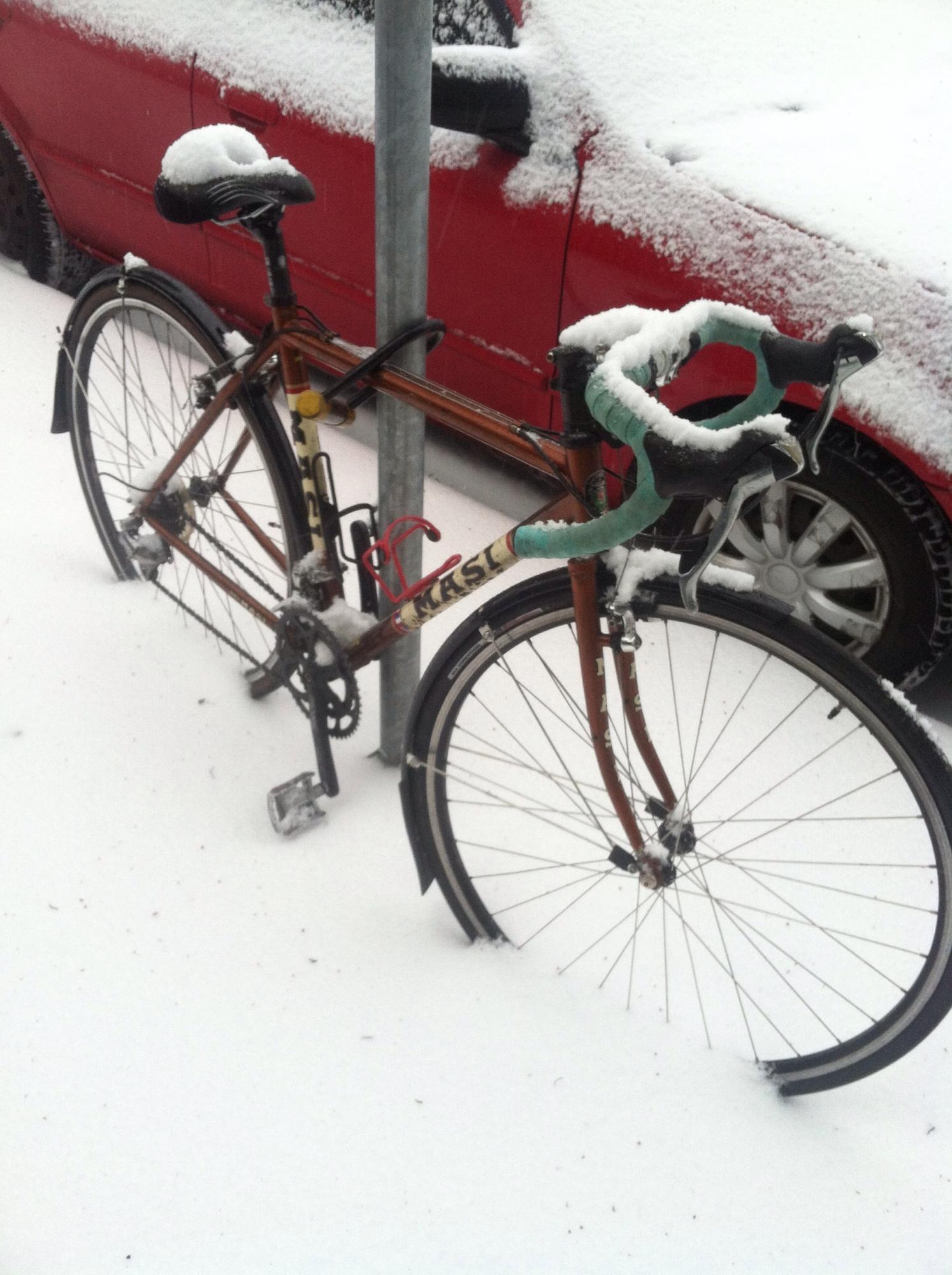 2010 Masi Faliero  Brown