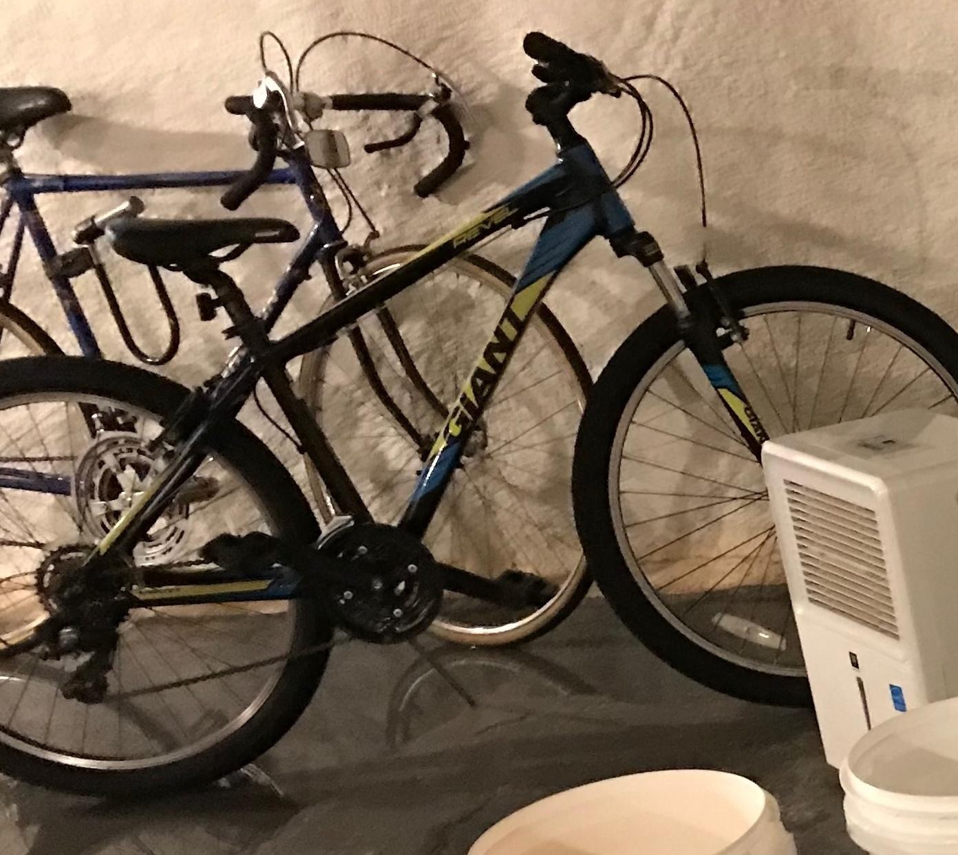 2018 Giant Revel 2 S Black and Yellow or Gold