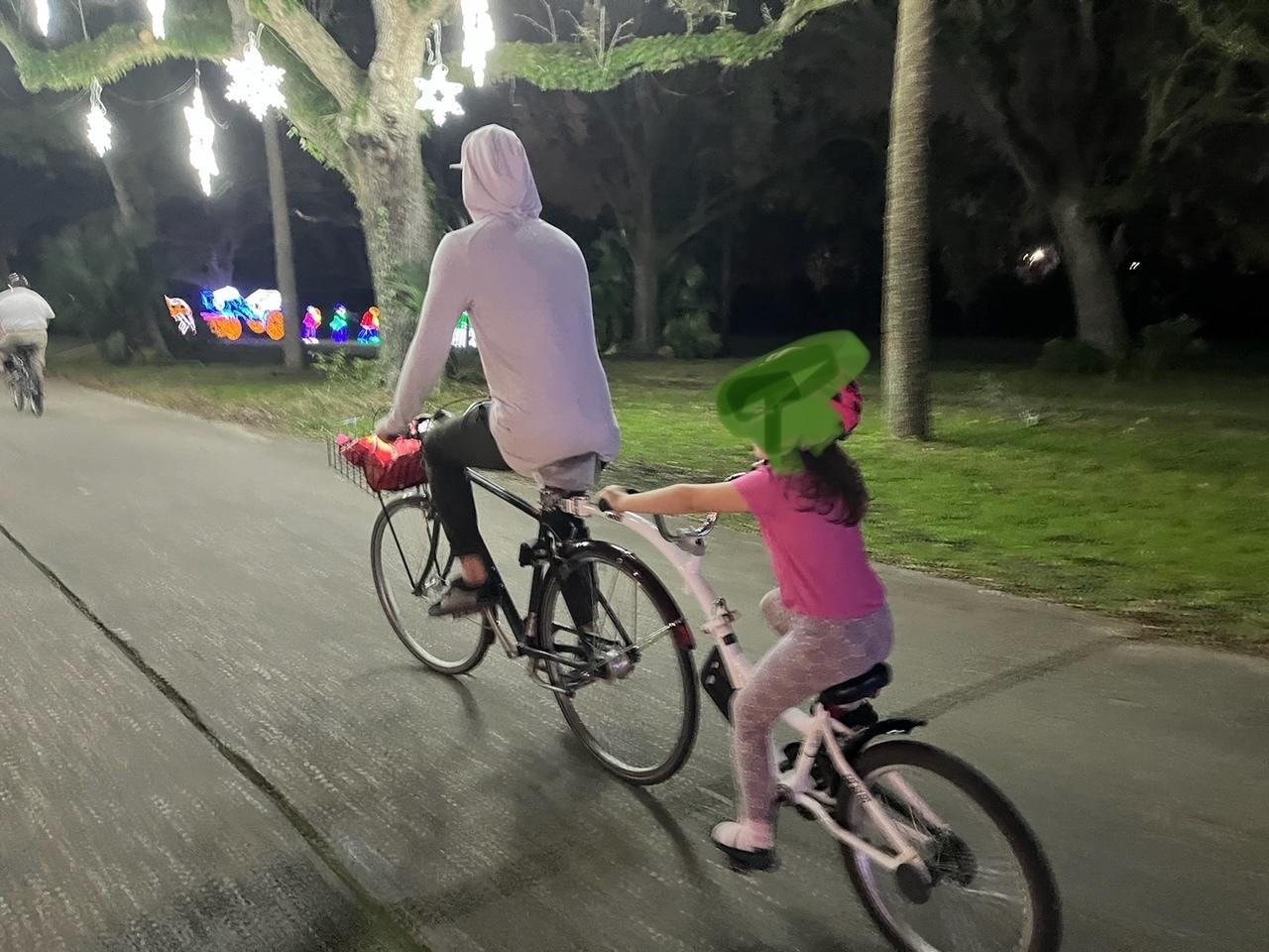 2013 Peugeot Silver, gray or bare metal