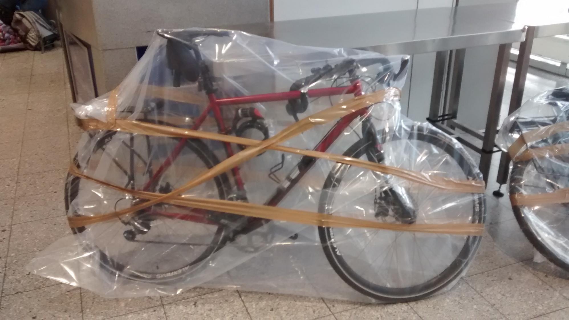 2015 Globe Croix de Fer 10 Red