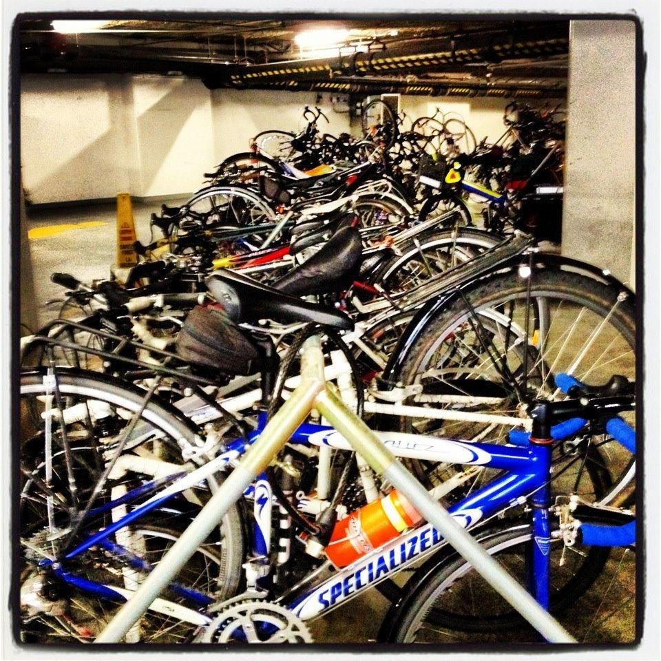 2003 Specialized Allez 24  Blue