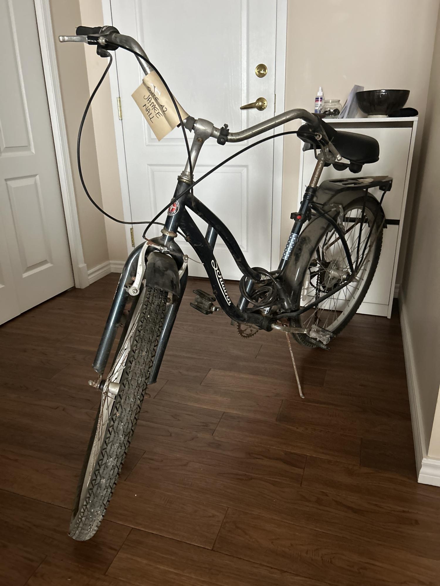 Schwinn Blue
