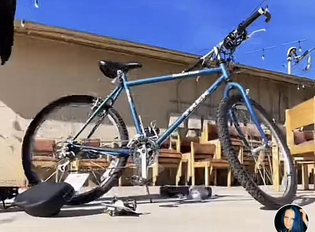 Trek Blue and Black