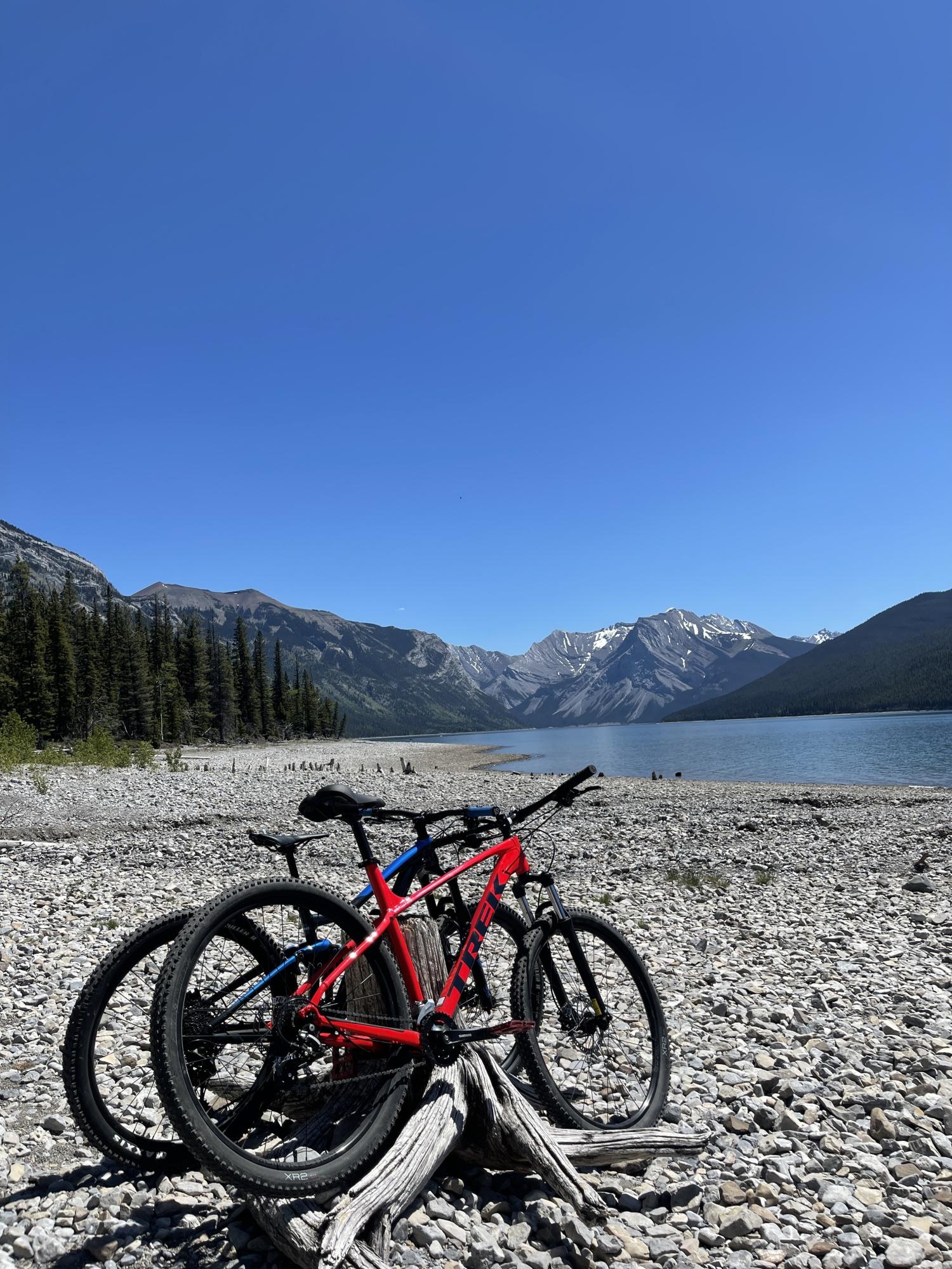 2020 Trek Marlin 6 Red