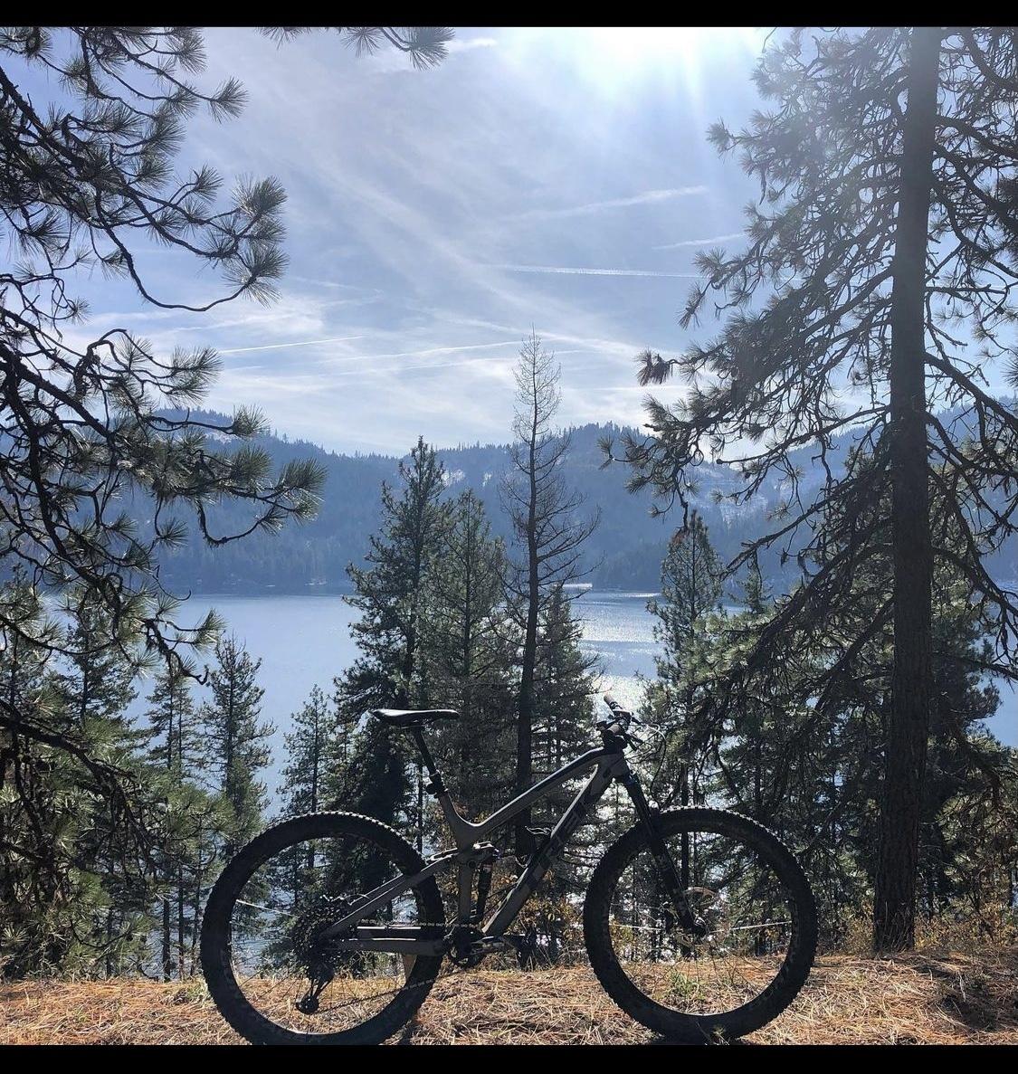 Trek Fuel EX 9.8 Silver, gray or bare metal