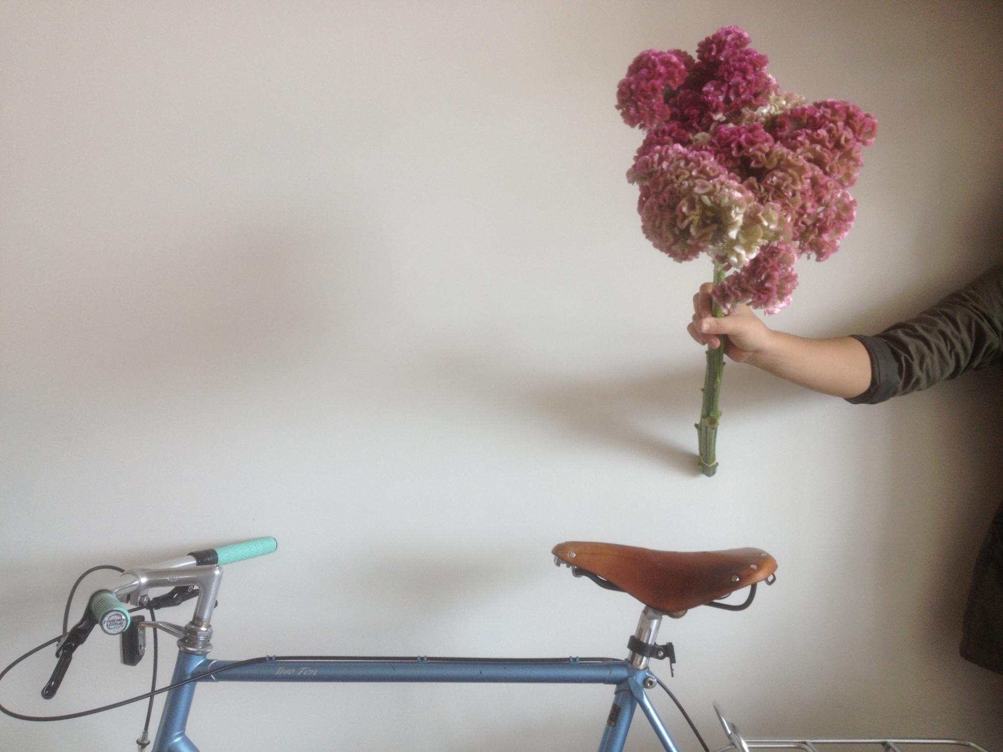 1980 Miyata TWO TEN Blue