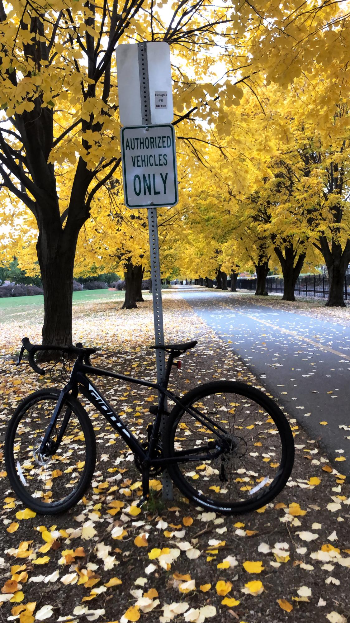 2020 Giant ToughRoad SLR GX 1 Blue