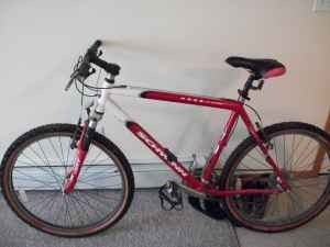 Schwinn Mesa Orange and White