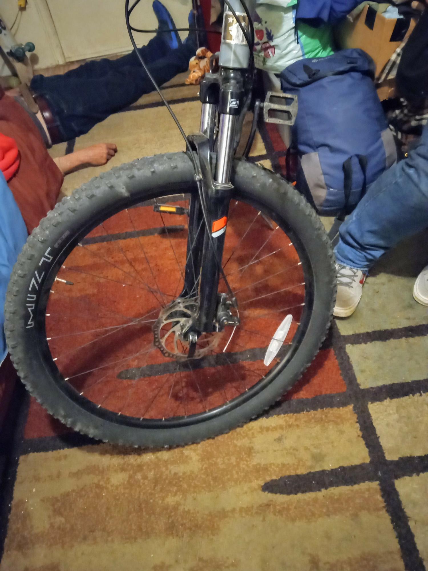 2024 Marin Bikes Bolians ridge Silver, gray or bare metal