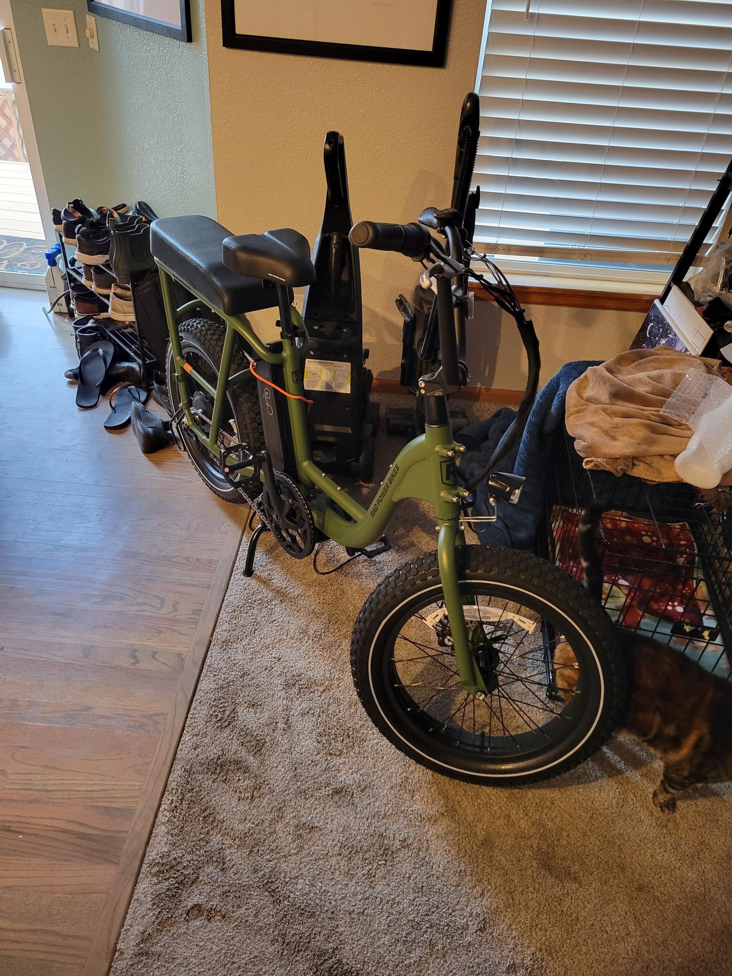2022 Rad Power Bikes RadRunner Green