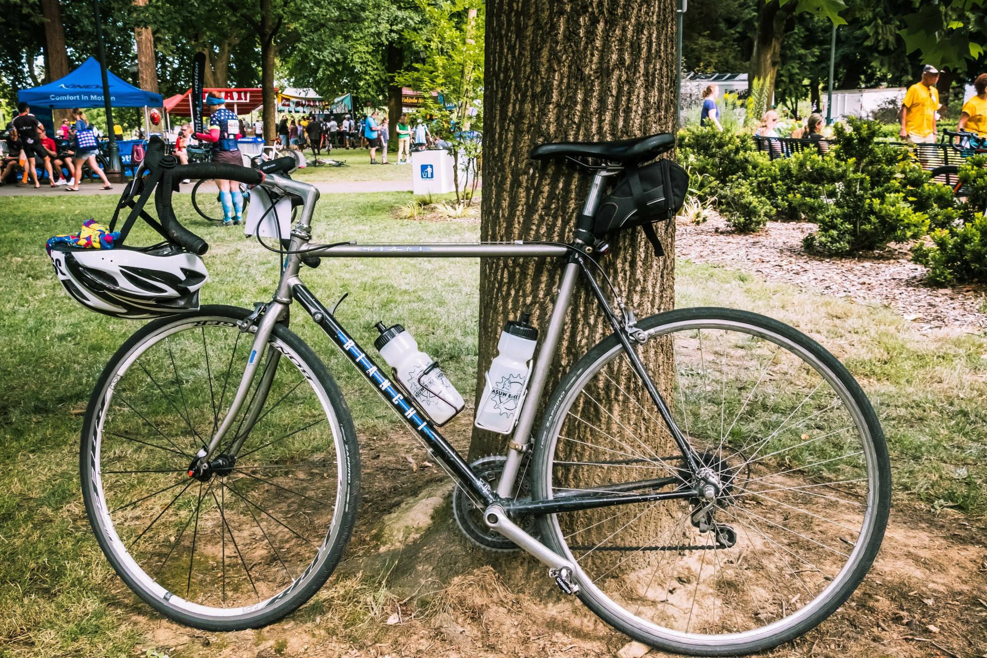 1986 Bianchi Forza Silver, gray or bare metal