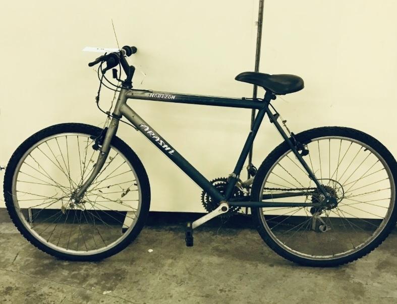 Arashi Horizon Green and Silver, gray or bare metal