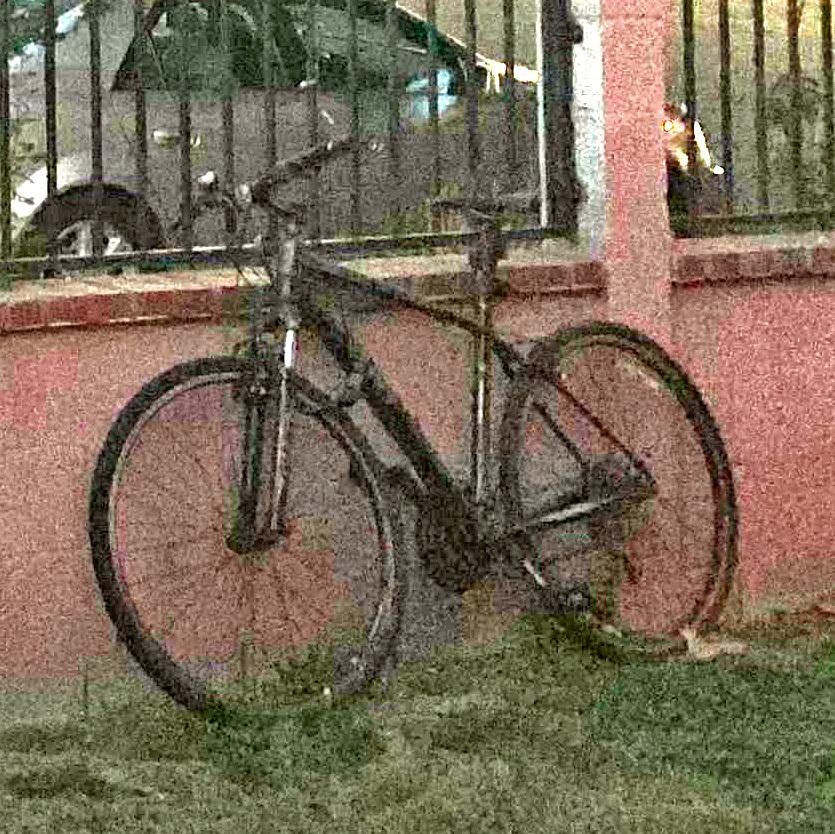 Giant Black