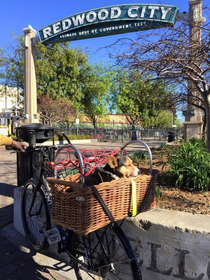 2008 Giant FCR Black