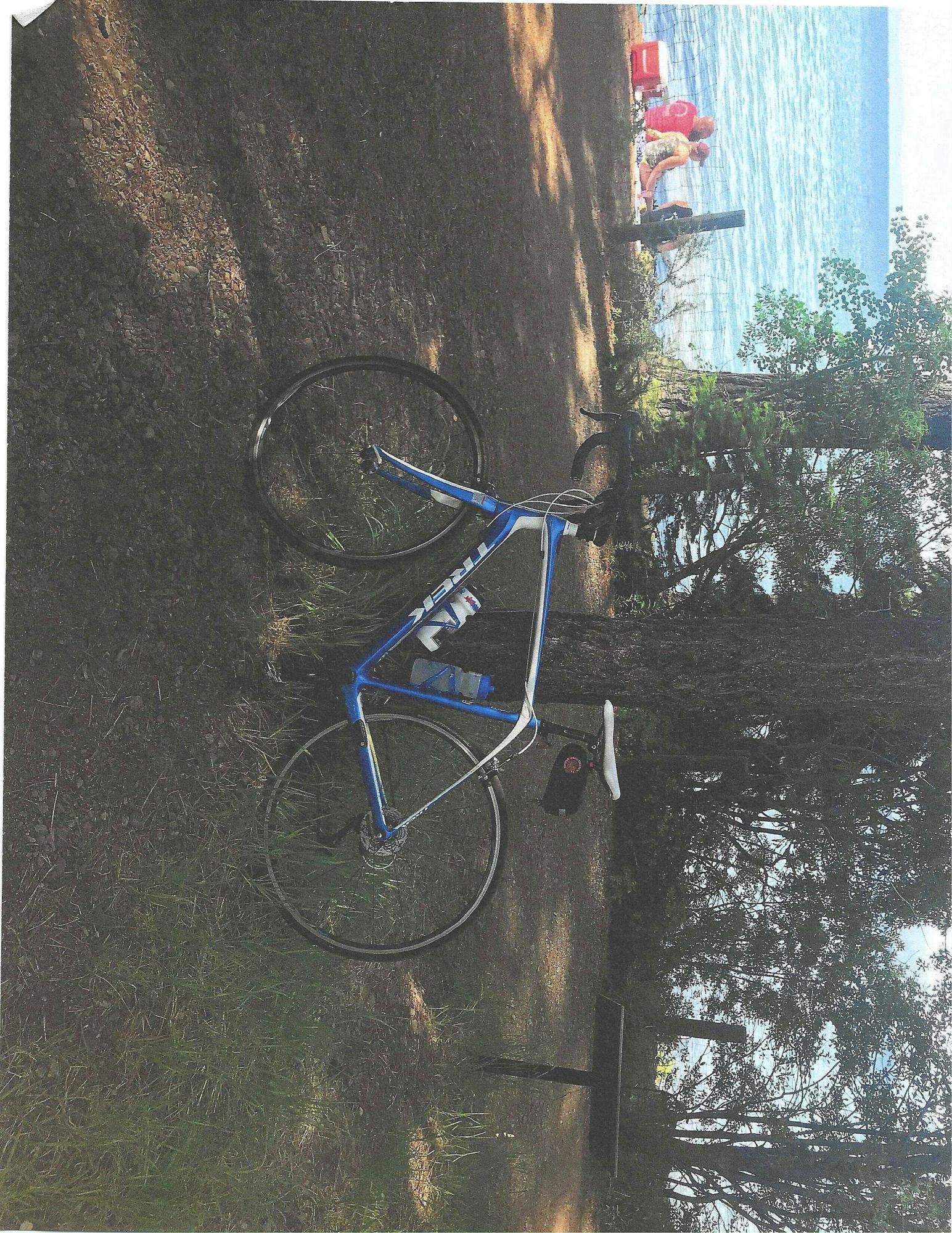 2014 Trek Domane 4.3 (Compact or Triple) Blue and White