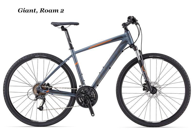 2013 Giant Roam  Black
