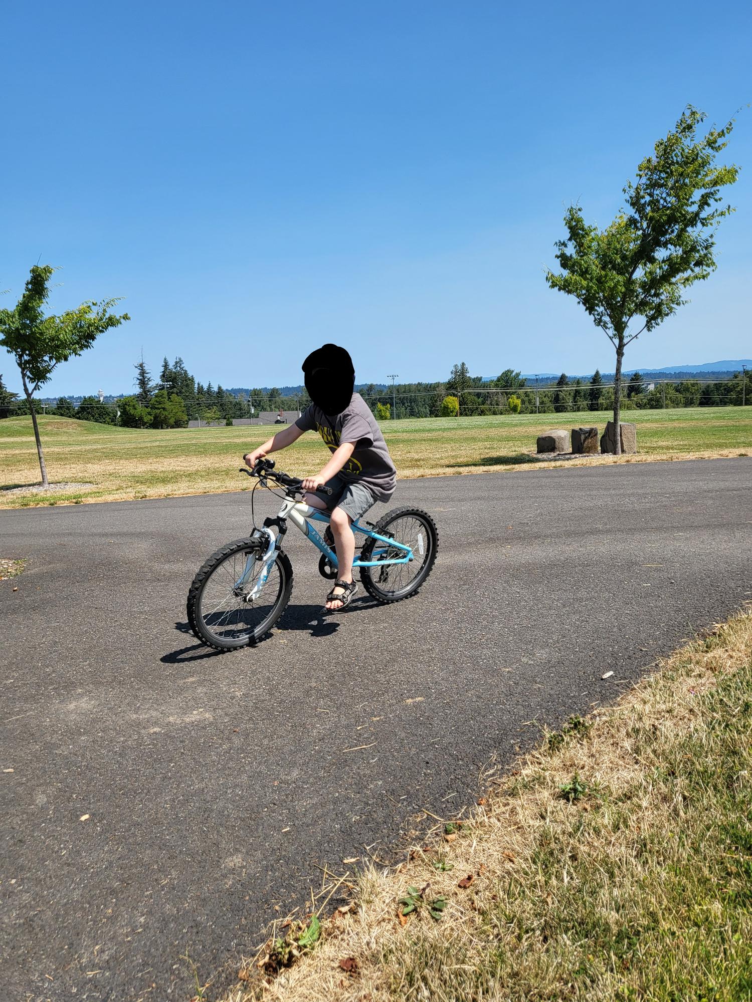 Jamis White, Blue, and Silver, gray or bare metal