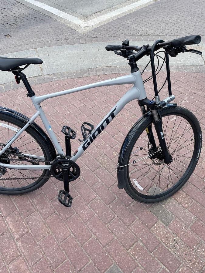2021 Trek Roam Silver, gray or bare metal