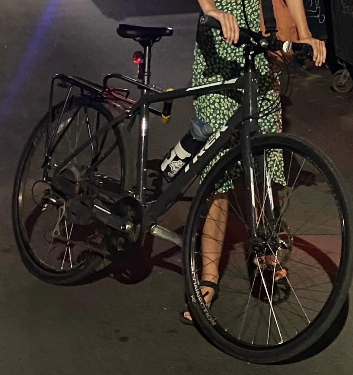 2019 Trek FX 2 WSD DISC Silver, gray or bare metal