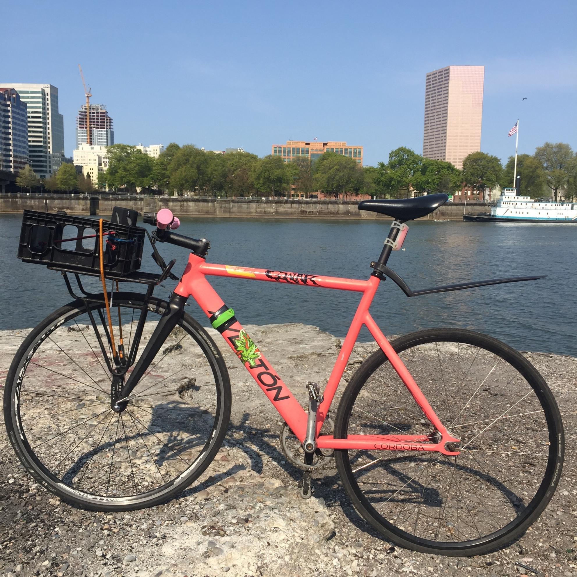 2015 Aventón Córdoba Pink