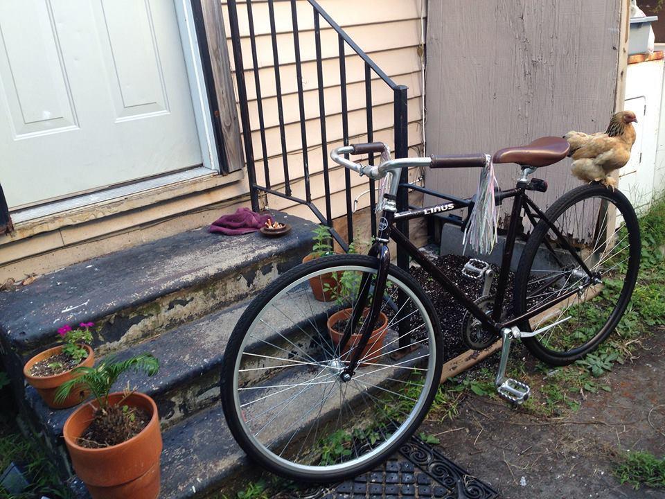 2016 Linus Roadster Brown