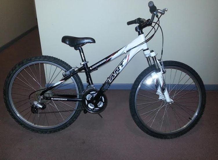 2004 Giant Boulder SE  Black
