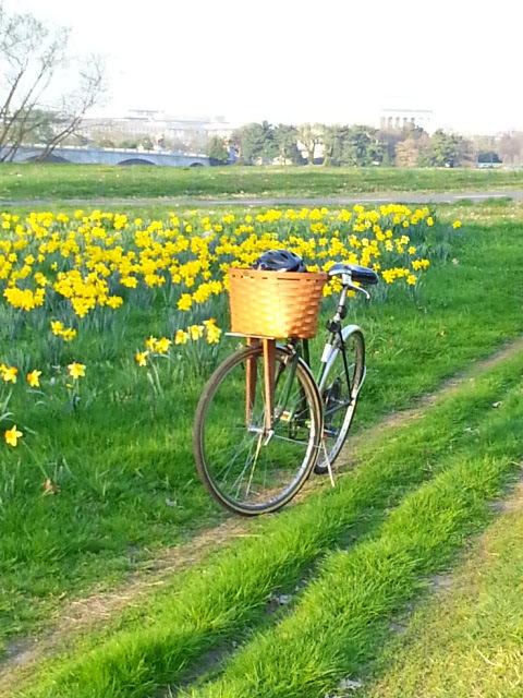 1973 Schwinn Suburban Green