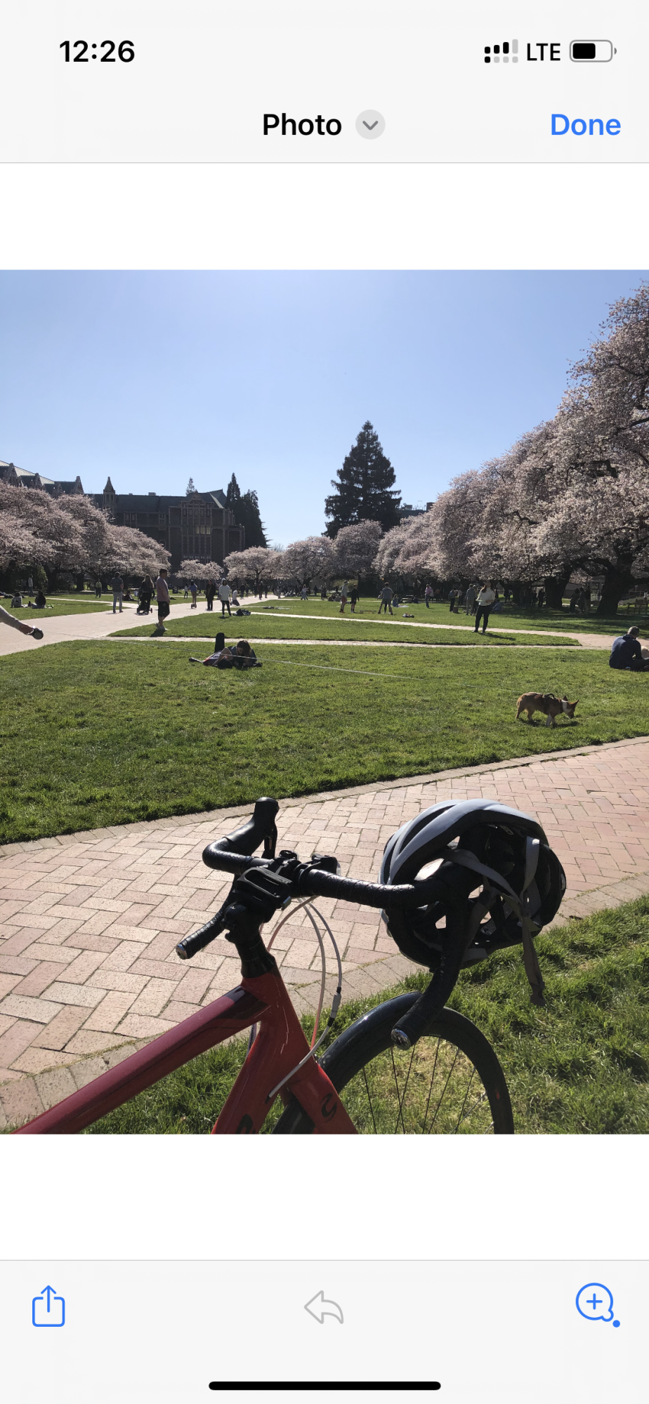 2018 Cannondale Synapse Red
