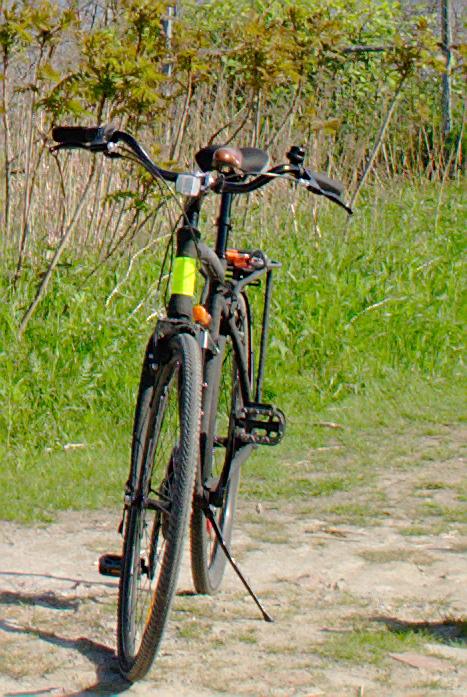 2011 Opus Classico Black