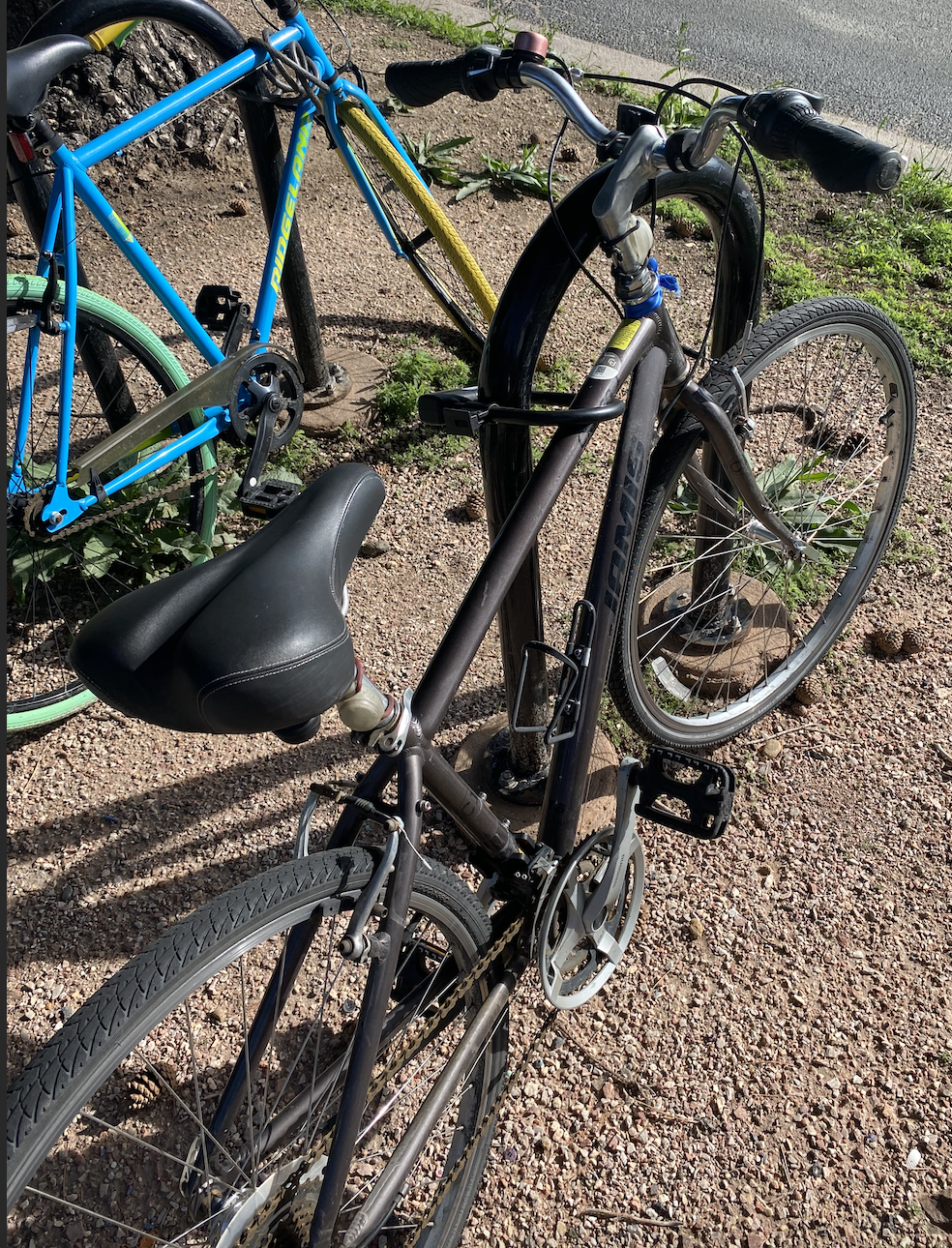 Jamis Citizen 1 Silver, gray or bare metal