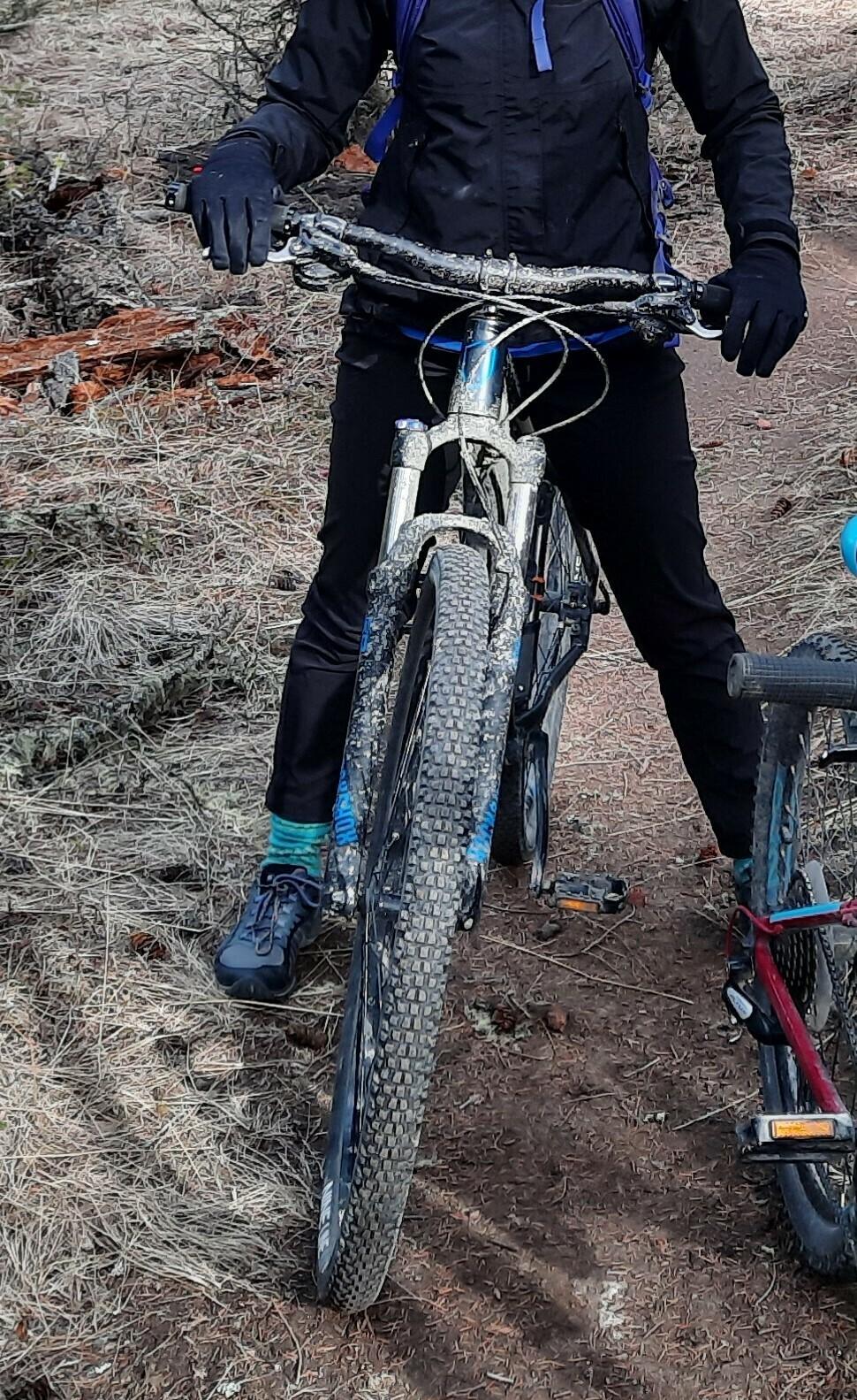 Norco Bikes Storm Black and Blue