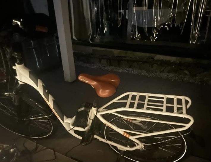 2019 Rad Power Bikes Step Thru White, Silver, gray or bare metal, and Orange