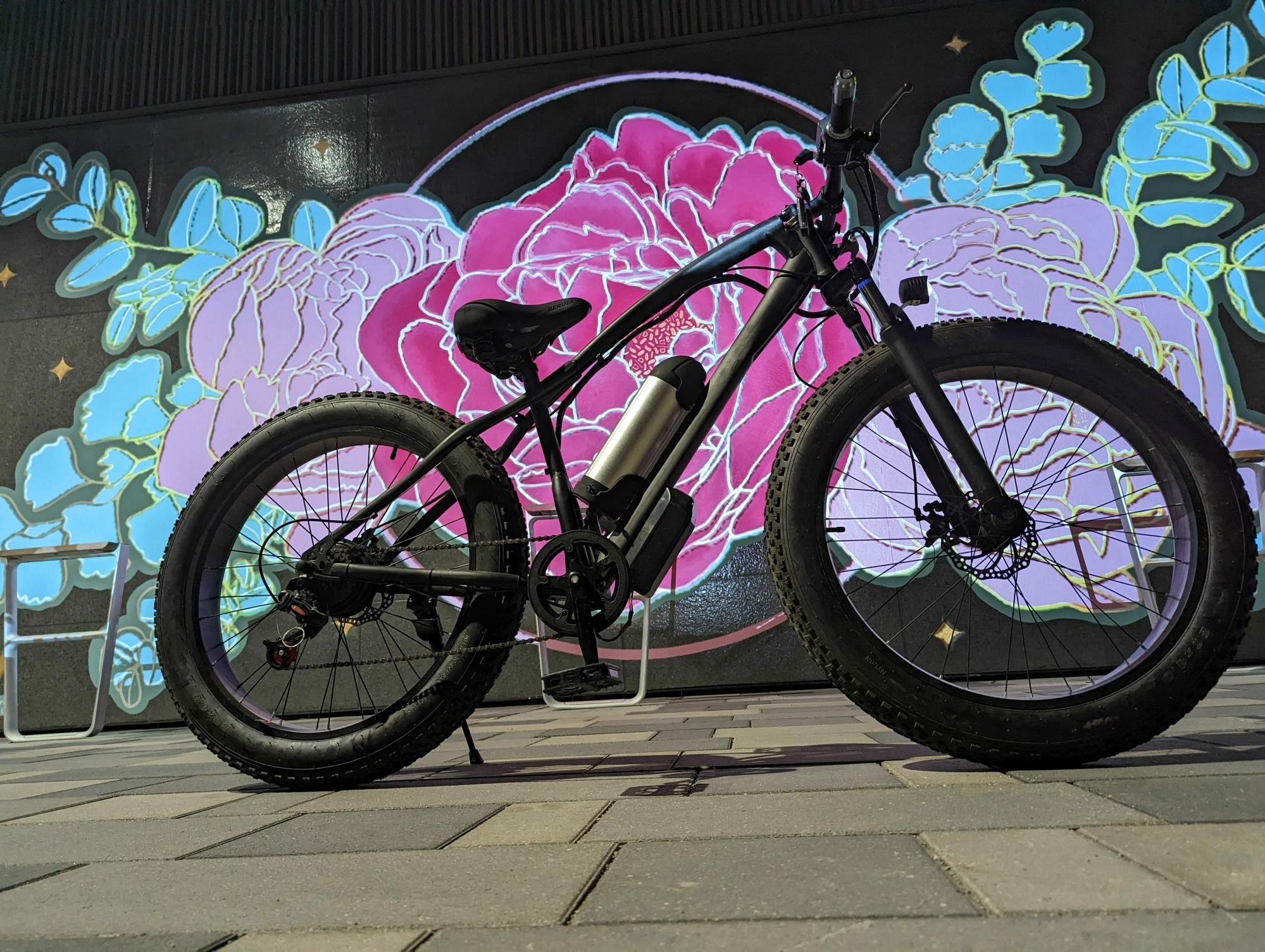 2021 Bafang Motorcycle looking matte black frame Black