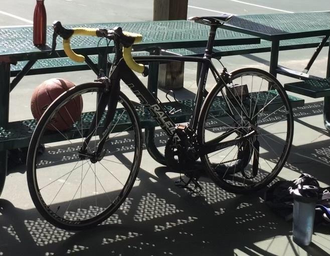 2013 Raleigh Militis Black