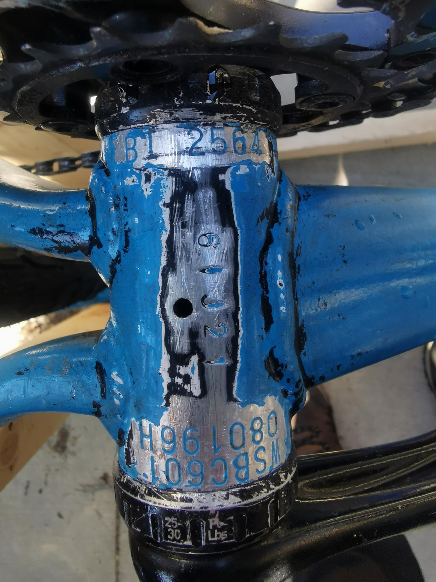 Specialized Carve Expert 29 Blue