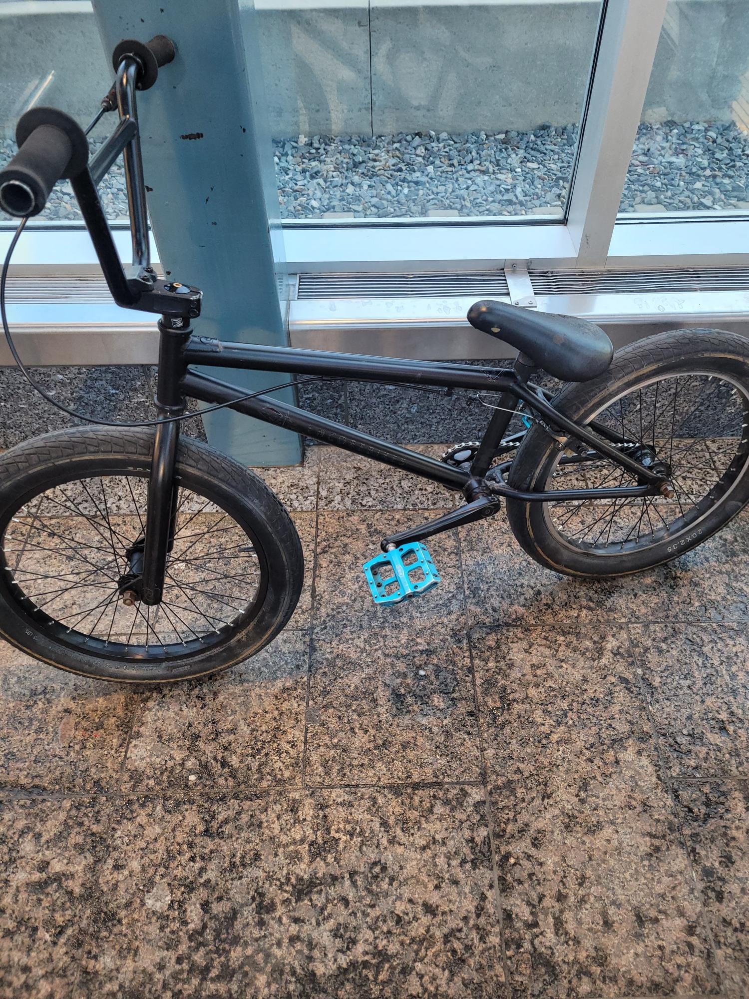 2015 Encore Amp Black