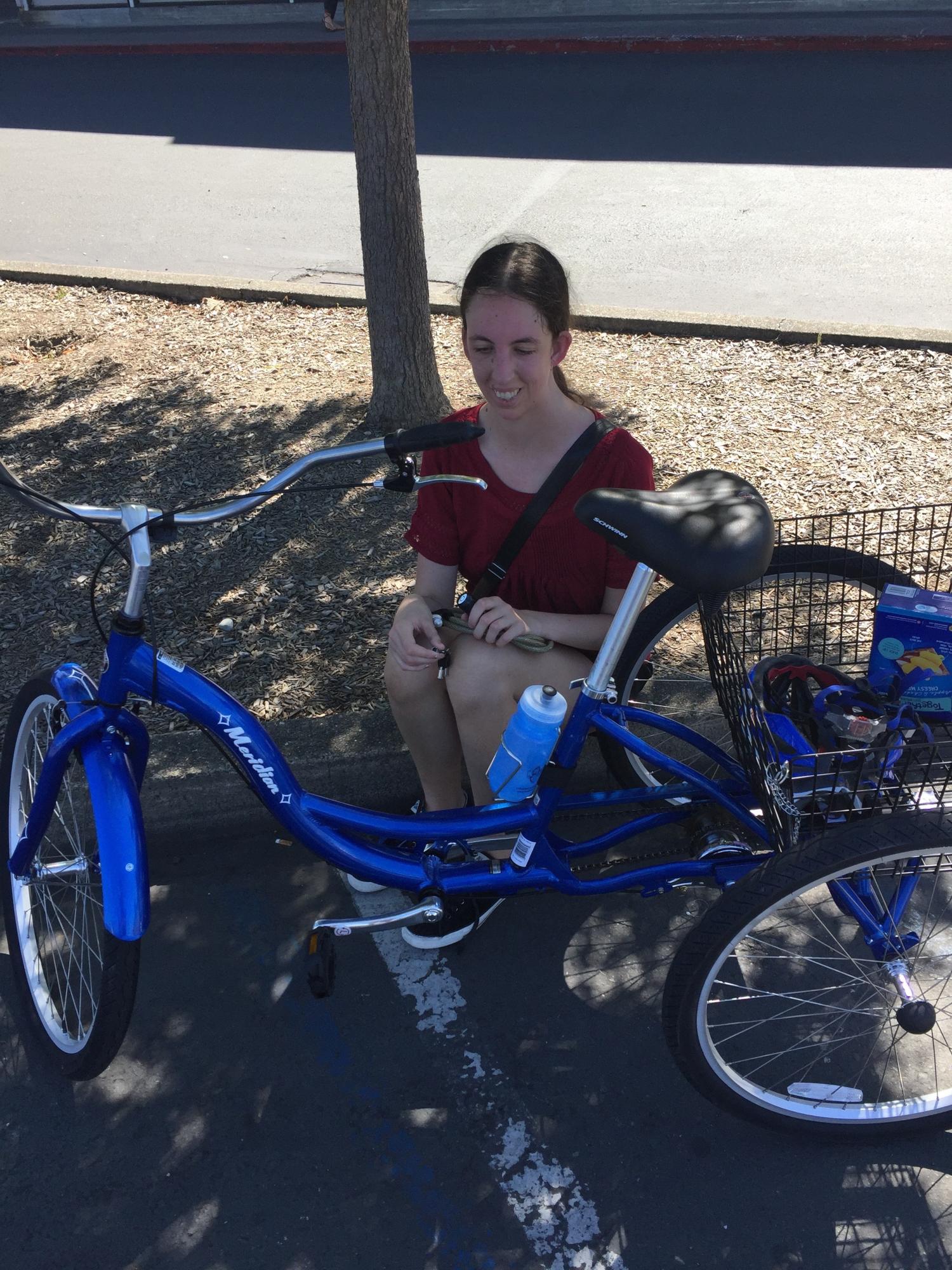 2017 Schwinn adult tricycle Blue