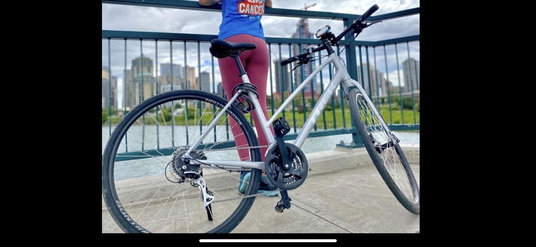 Trek Silver, gray or bare metal