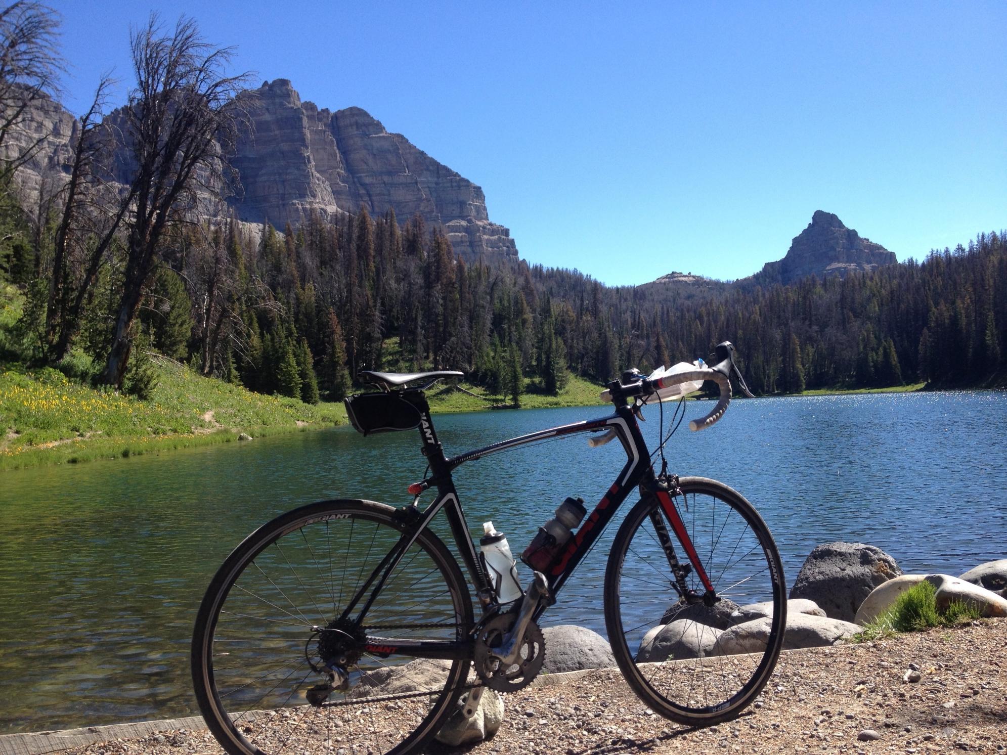 2014 Giant Defy Composite 3  Black